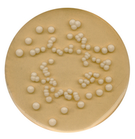POTATO GLUCOSE AGAR FOR MICROBIOLOGY (39
